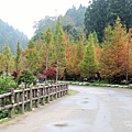 IMG_6041.JPG