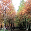 IMG_6050.JPG