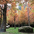 IMG_6077.JPG