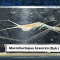 IMG_7549.jpg