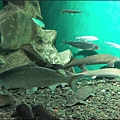 IMG_7574.jpg