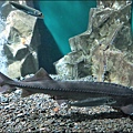 IMG_7573.jpg