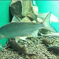IMG_7575.jpg