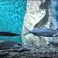 IMG_7578.jpg