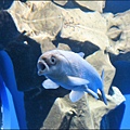 IMG_7584.jpg