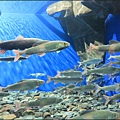 IMG_7585.jpg