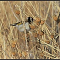 IMG_8162.jpg