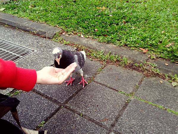 C360_2013-03-02-16-20-49 C360_2013-03-02-16-20-49