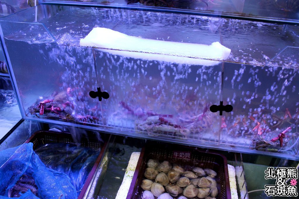 IMG_1182.JPG IMG_1182.JPG