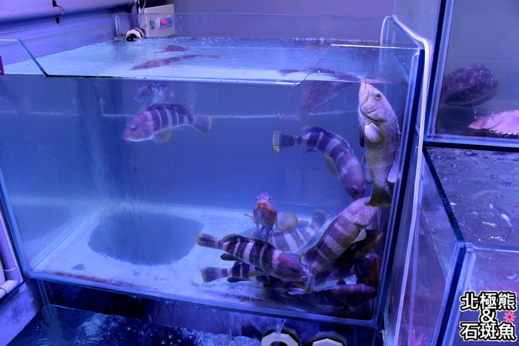 IMG_1184.JPG IMG_1184.JPG