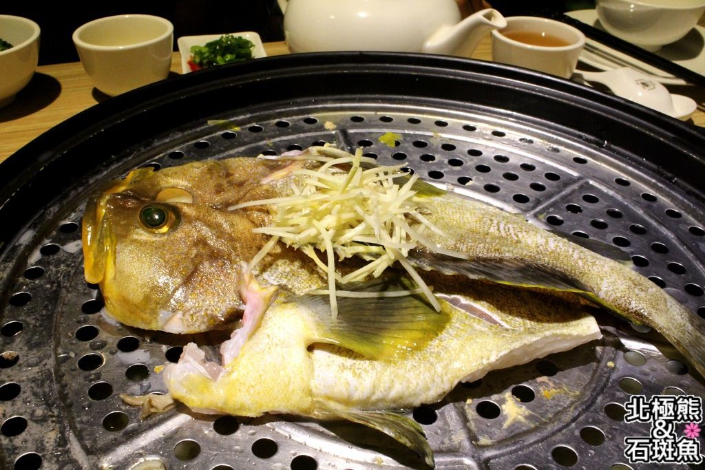 IMG_1413.JPG IMG_1413.JPG