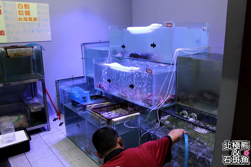 IMG_1178.JPG IMG_1178.JPG