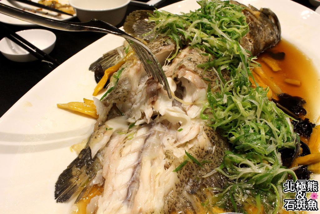 IMG_7773.JPG IMG_7773.JPG