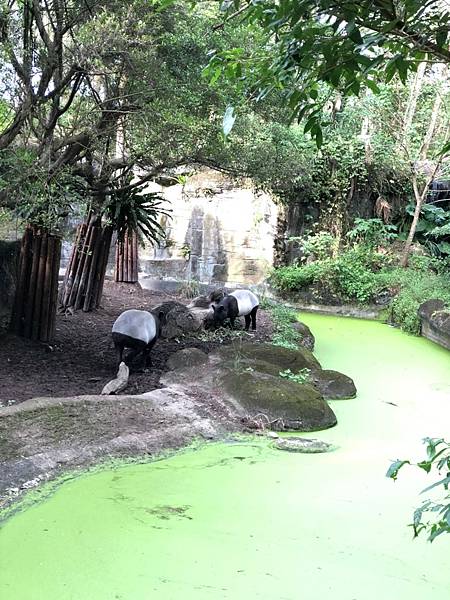 20211220台北木柵動物園_211220_42.jpg