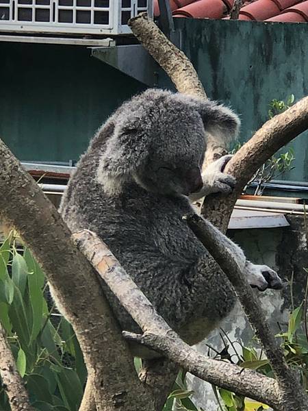 20211220台北木柵動物園_211220_64.jpg