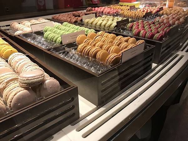 IMG_7804.jpg IMG_7804.jpg