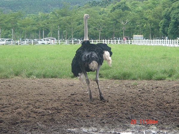 花東5日遊 (379)_nEO_IMG.jpg