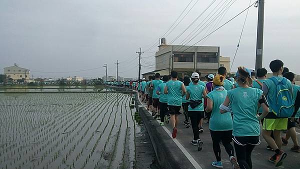 2017年大甲媽祖10公里路跑_170312_0013.jpg