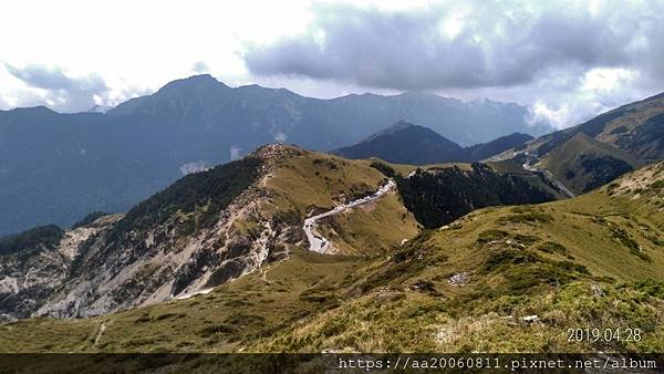 合歡山玉山杜鵑_190428_0278.jpg