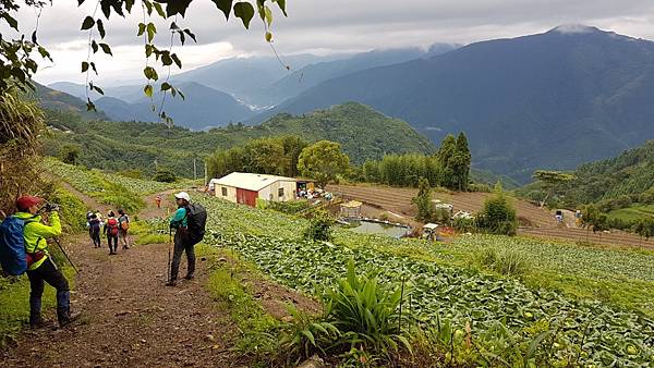 2020_0.08.15(鹿坑山~大窩山)_200818.jpg