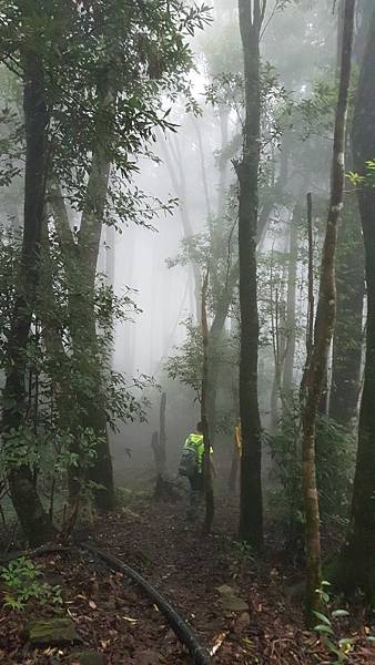 2020_14.08.15(鹿坑山~大窩山)_200818.jpg