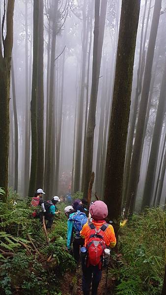 2020_167.08.15(鹿坑山~大窩山)_200818.jpg