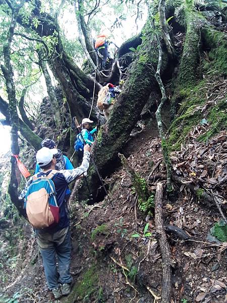 2020_195.08.15(鹿坑山~大窩山)_200818.jpg