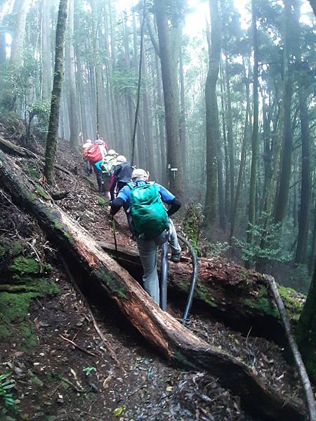 2020_216.08.15(鹿坑山~大窩山)_200818.jpg