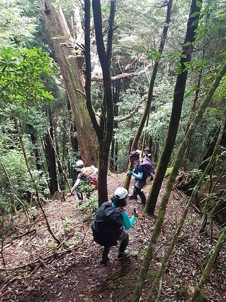 2020_229.08.15(鹿坑山~大窩山)_200818.jpg