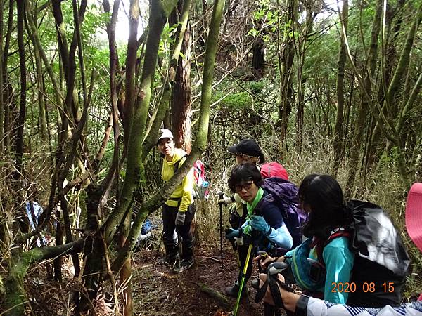 2020_323.08.15(鹿坑山~大窩山)_200818.jpg