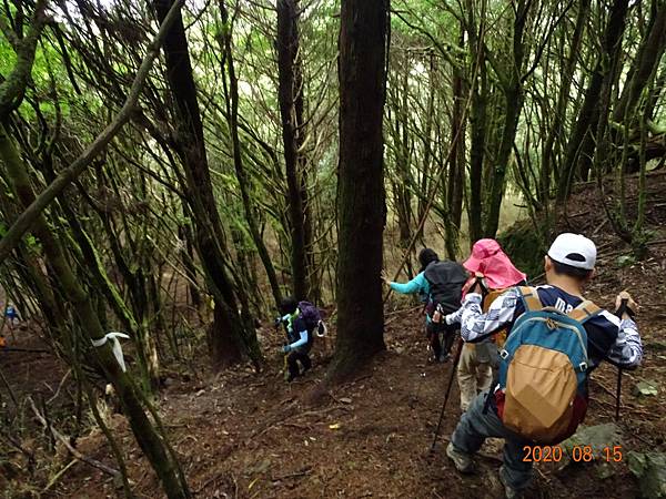 2020_326.08.15(鹿坑山~大窩山)_200818.jpg