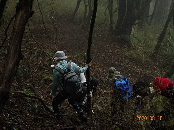 2020_334.08.15(鹿坑山~大窩山)_200818.jpg