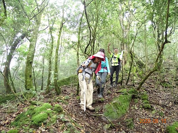 2020_362.08.15(鹿坑山~大窩山)_200818.jpg