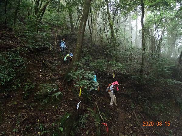 2020_371.08.15(鹿坑山~大窩山)_200818.jpg