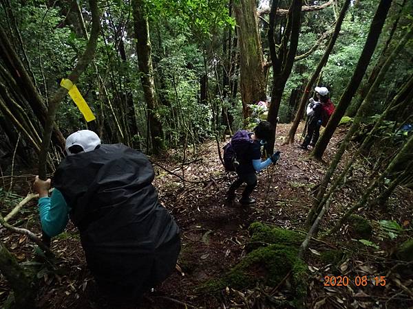 2020_406.08.15(鹿坑山~大窩山)_200818.jpg