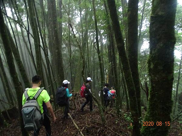 2020_438.08.15(鹿坑山~大窩山)_200818.jpg