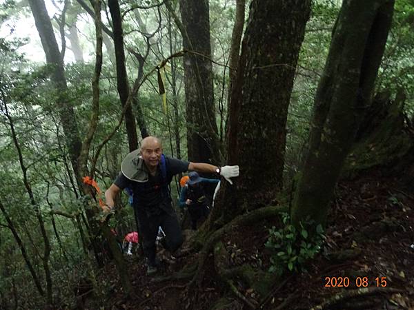 2020_462.08.15(鹿坑山~大窩山)_200818.jpg