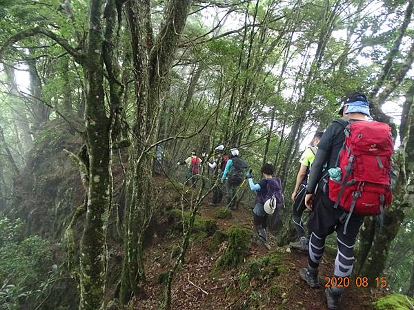 2020_492.08.15(鹿坑山~大窩山)_200818.jpg