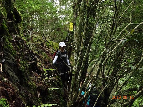 2020_499.08.15(鹿坑山~大窩山)_200818.jpg