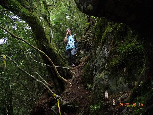 2020_508.08.15(鹿坑山~大窩山)_200818.jpg