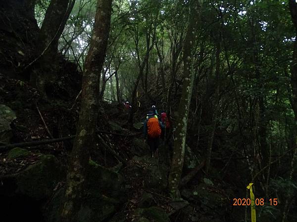 2020_537.08.15(鹿坑山~大窩山)_200818.jpg