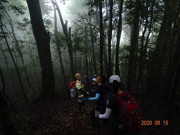 2020_622.08.15(鹿坑山~大窩山)_200818.jpg