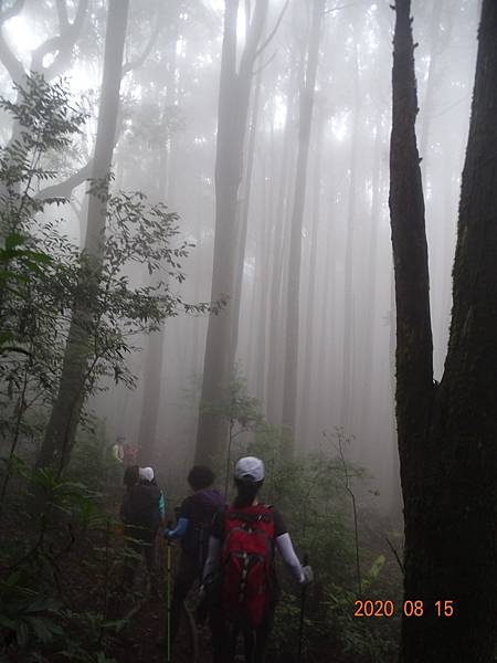 2020_632.08.15(鹿坑山~大窩山)_200818.jpg