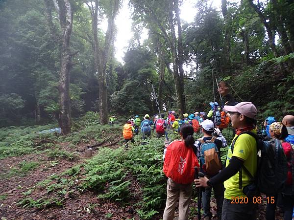 2020_667.08.15(鹿坑山~大窩山)_200818.jpg