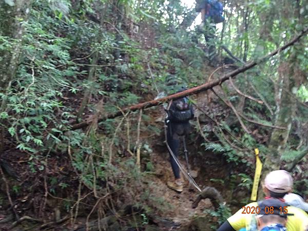 2020_689.08.15(鹿坑山~大窩山)_200818.jpg