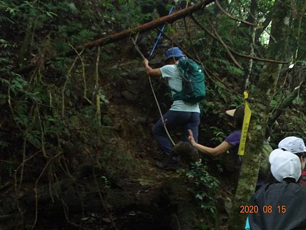 2020_695.08.15(鹿坑山~大窩山)_200818.jpg