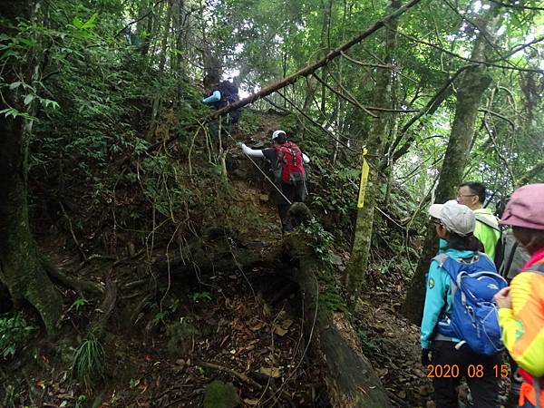 2020_698.08.15(鹿坑山~大窩山)_200818.jpg