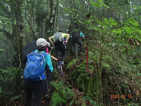 2020_725.08.15(鹿坑山~大窩山)_200818.jpg