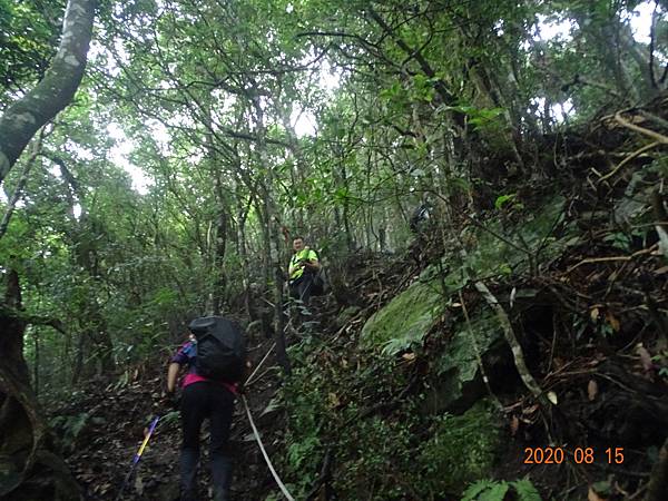 2020_730.08.15(鹿坑山~大窩山)_200818.jpg