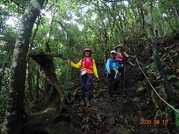 2020_735.08.15(鹿坑山~大窩山)_200818.jpg